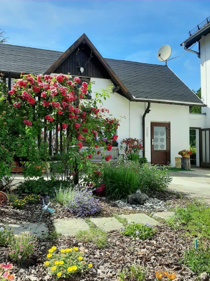 Ferienhaus Schoene Hohnstein Kültér fotó